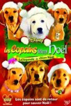 Les Copains fêtent Noël (Santa Buddies) wiflix