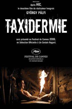 Taxidermie wiflix