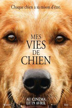 Mes vies de chien (A Dog's Purpose) wiflix