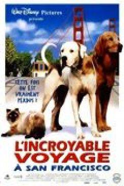 L'Incroyable Voyage à San Francisco (Homeward Bound II : Lost in San Francisco) wiflix