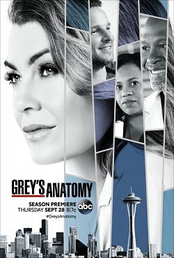 Grey's Anatomy - Saison 16