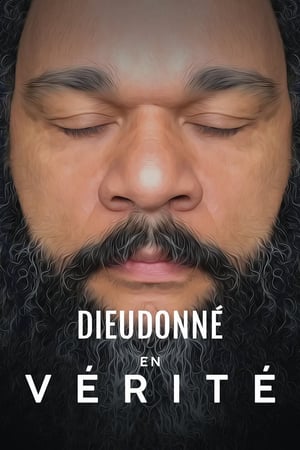 Dieudonné - En Vérité wiflix