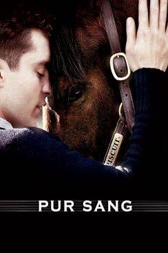 Pur Sang, la légende de Seabiscuit (Seabiscuit) wiflix