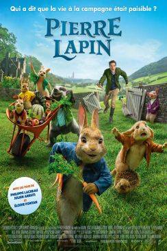 Pierre Lapin wiflix