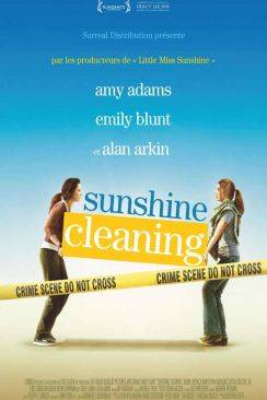 Sunshine Cleaning wiflix