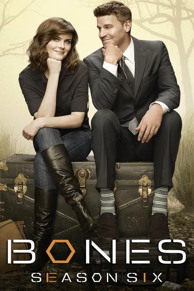 Bones - Saison 6 wiflix