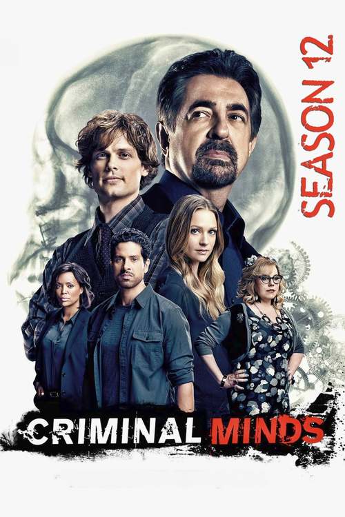 Esprits Criminels - Saison 12 wiflix