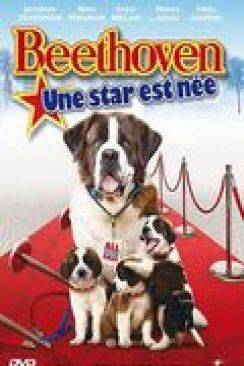 Beethoven: une star est née (Beethoven Big's break) wiflix