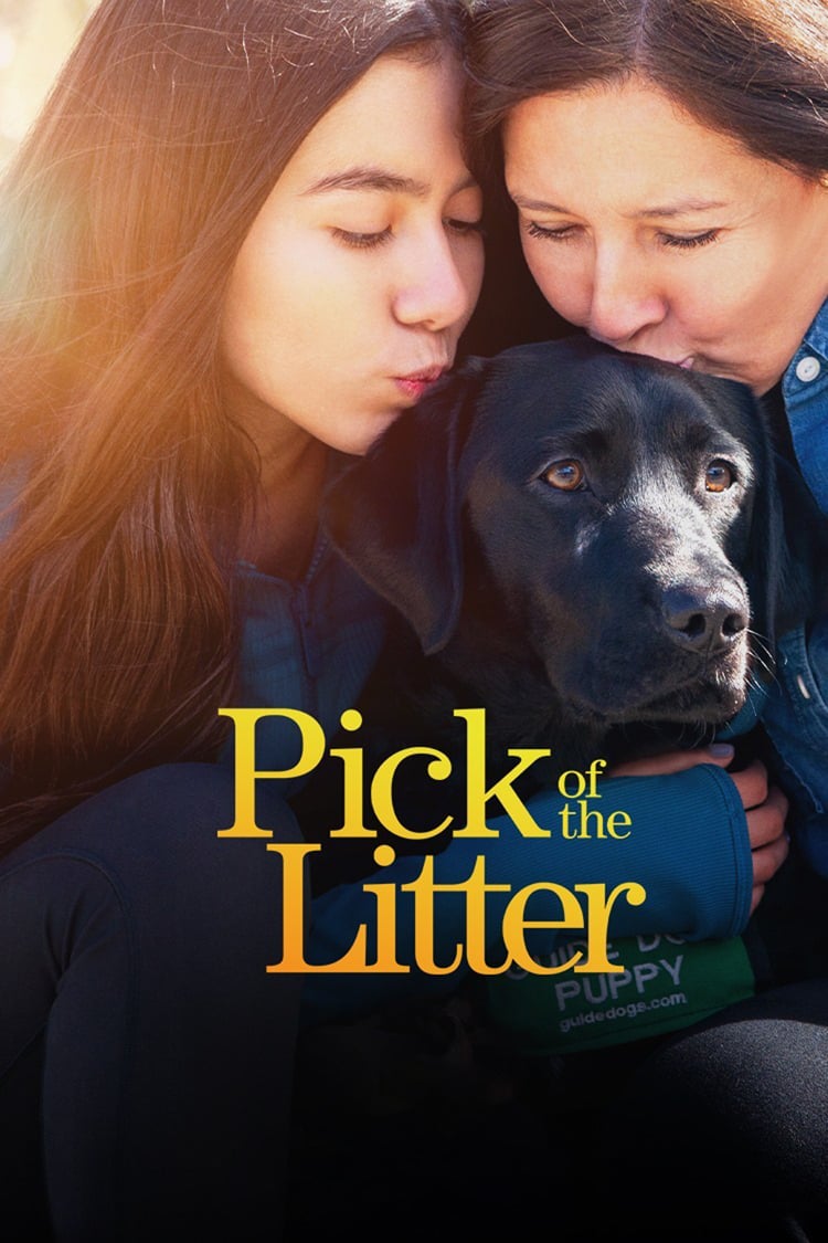 Pick of the Litter - Saison 1