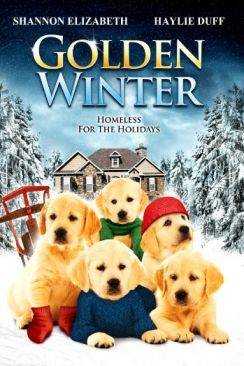 Un Noël de rêve (Golden Winter) wiflix