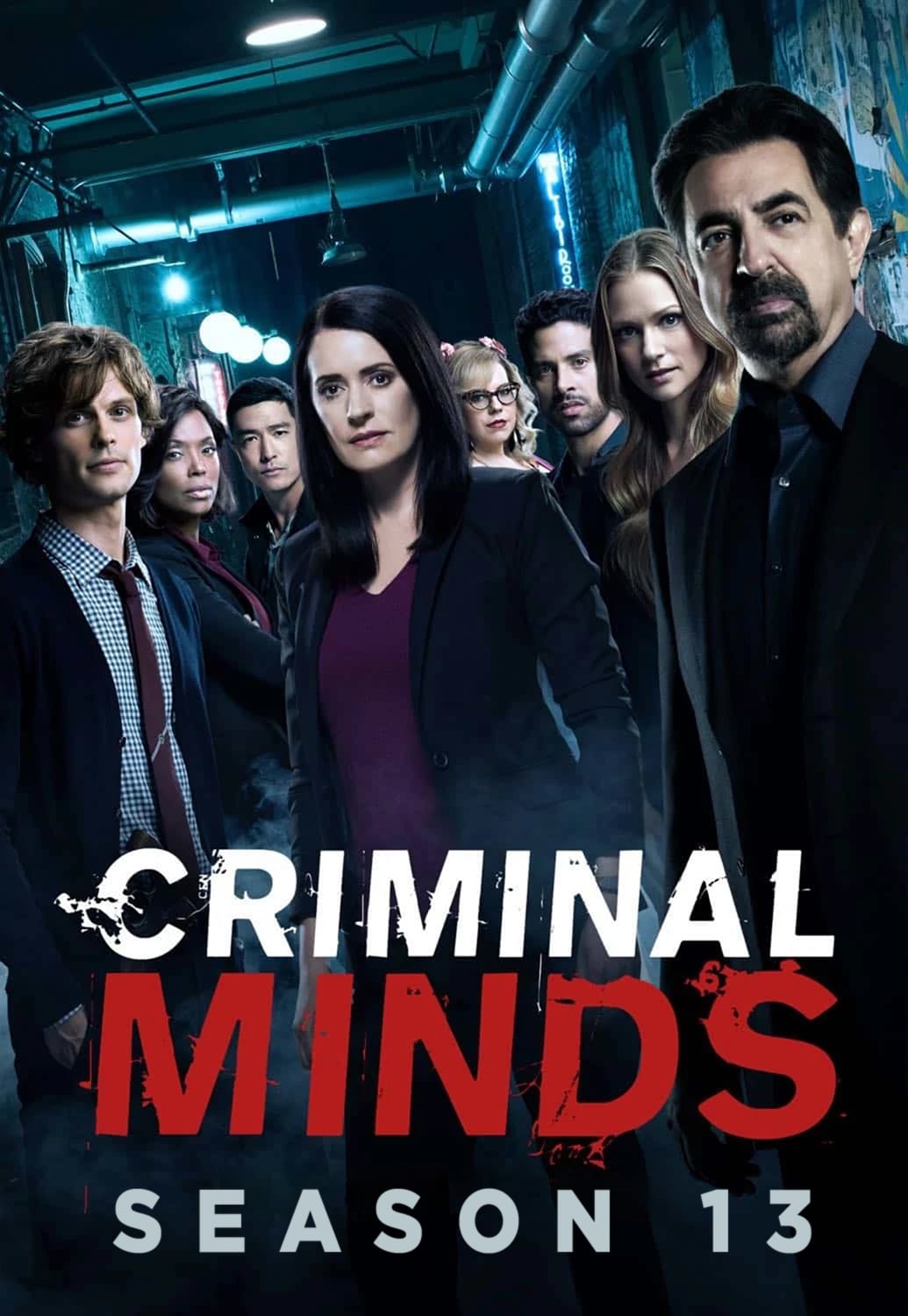 Esprits Criminels - Saison 13 wiflix