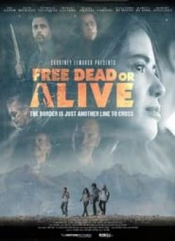 Free Dead or Alive wiflix