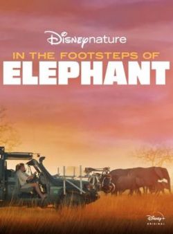 Sur la Route des Eléphants wiflix