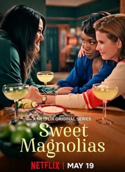 A l'ombre des magnolias - Saison 1 wiflix