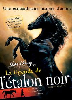 La Légende de l'étalon noir wiflix