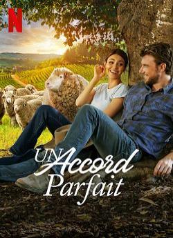 Un accord parfait wiflix