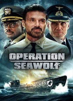 Operation Seawolf wiflix