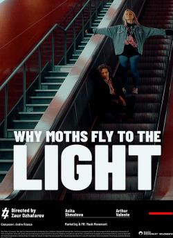 Why Moths Fly to the Light?