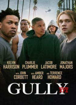 Gully wiflix