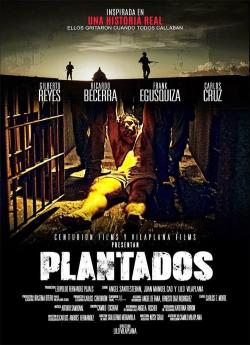 Plantados (2022) wiflix