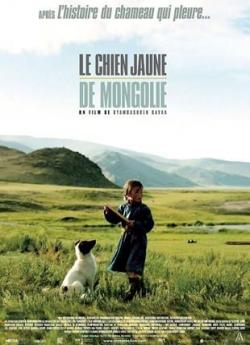 Le chien jaune de Mongolie wiflix