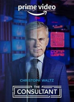 The Consultant - Saison 1 wiflix