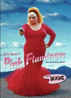 Pink Flamingos wiflix