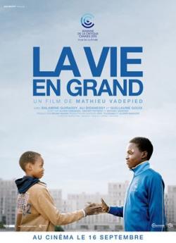 La Vie en grand wiflix