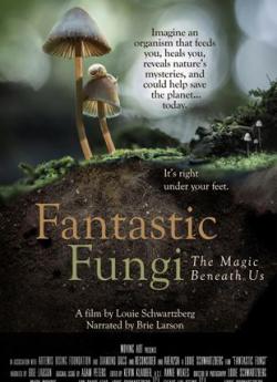 Fantastic Fungi wiflix