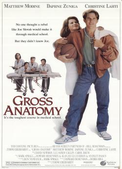 Gross anatomy wiflix