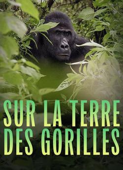 Sur la terre des gorilles wiflix