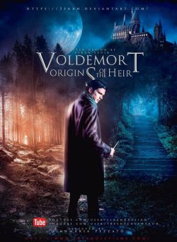 Voldemort : Origins of the Heir wiflix