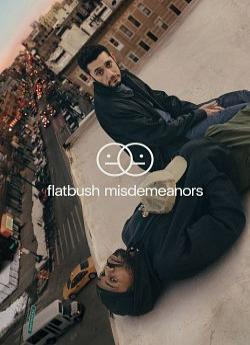 Flatbush Misdemeanors - Saison 1 wiflix