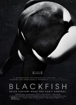 Blackfish wiflix