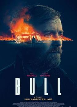 Bull wiflix