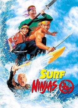 Les Fous du surf ninjas wiflix