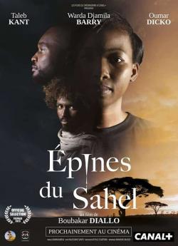 Épines du Sahel wiflix