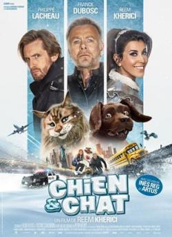 Chien et Chat wiflix