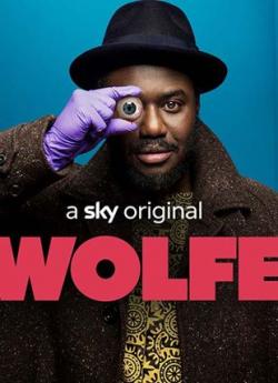 Wolfe - Saison 1 wiflix