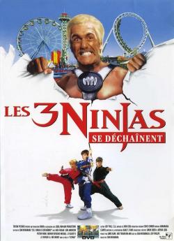 Les Ninjas se dechainent wiflix