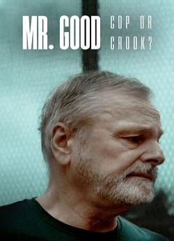 Mr. Good : Flic ou baron ? - Saison 1