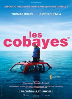 Les cobayes wiflix